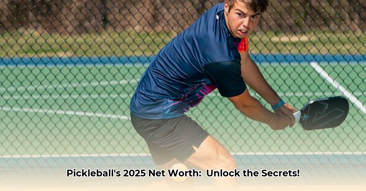 pickleball-net-worth